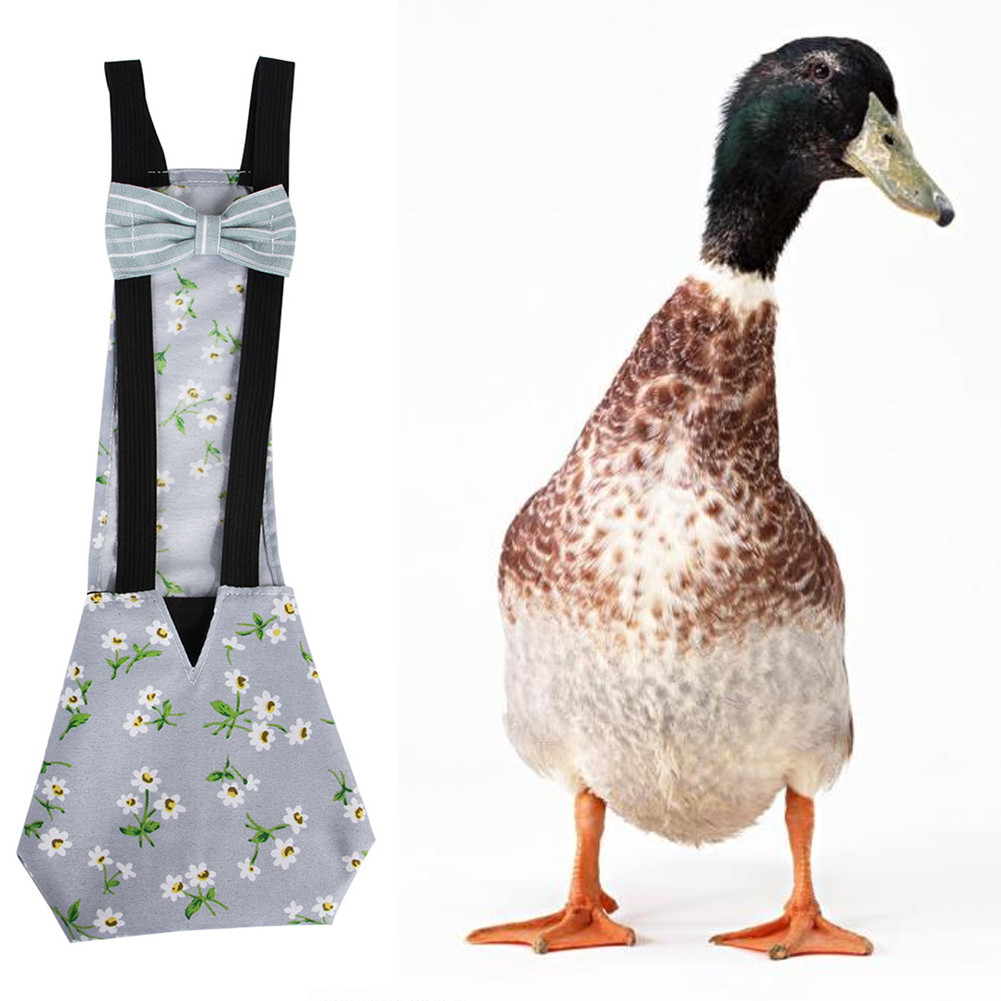 Goose And Duck Pull Diapers And Pet Cleaning Supplies CJdropshipping