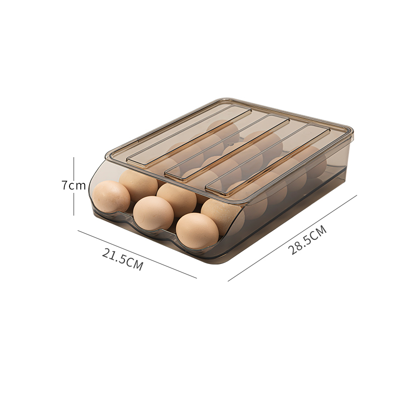 Refrigerator Egg Storage Box | Kitchenile