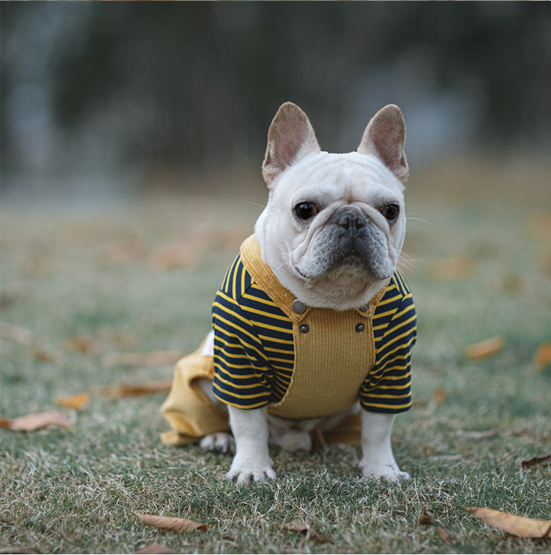 Dog Jumpsuits with Striped | Jumpsuits for Small and Medium Dog | Warm Clothing for Dog