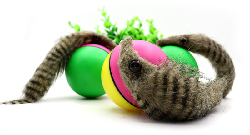 Electric Beaver Ball - Interactive Toy