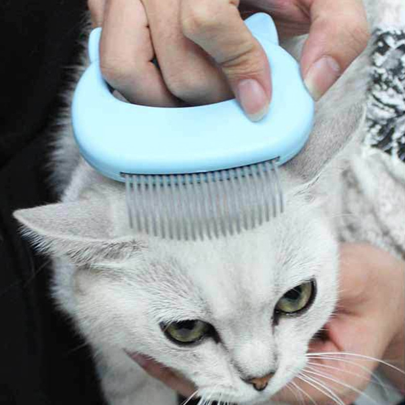 Cat Massage Comb CJdropshipping