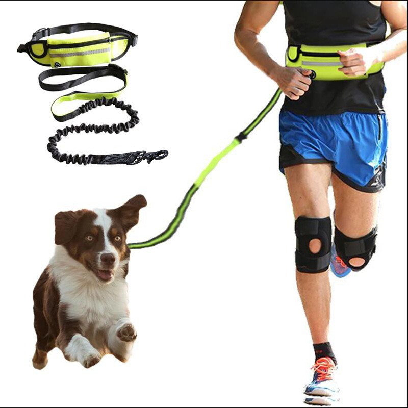 40820262 a7ee 4653 b762 92b63684efec - Sports Traction Rope High Elasticity Anti-Collision Outdoor Running Tactics Waist Dog Leash