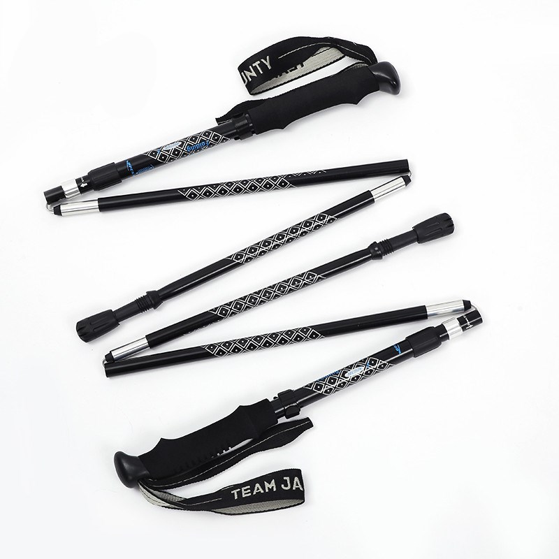 Paire de batons de marche nordique en alliage d