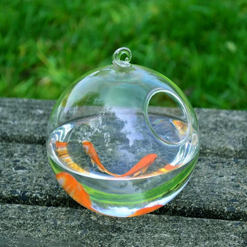 Hanging Glass Vase Fish Tank 6