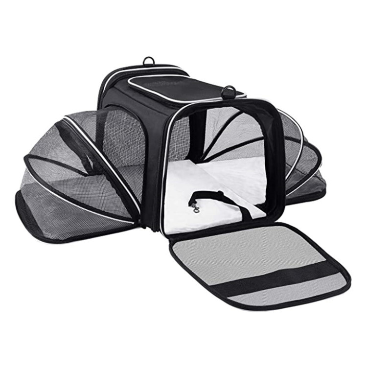 Carrier For Cat Pet Airline Approved Expandable Foldable Soft Dog Carrier Opened