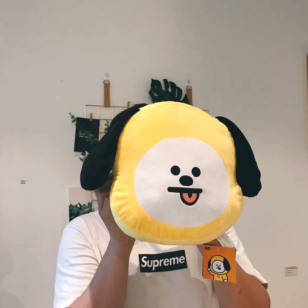 bt21 van plush doll