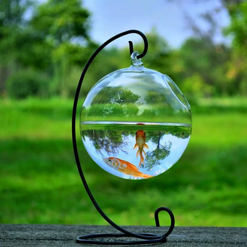 Hanging Glass Vase Fish Tank 7