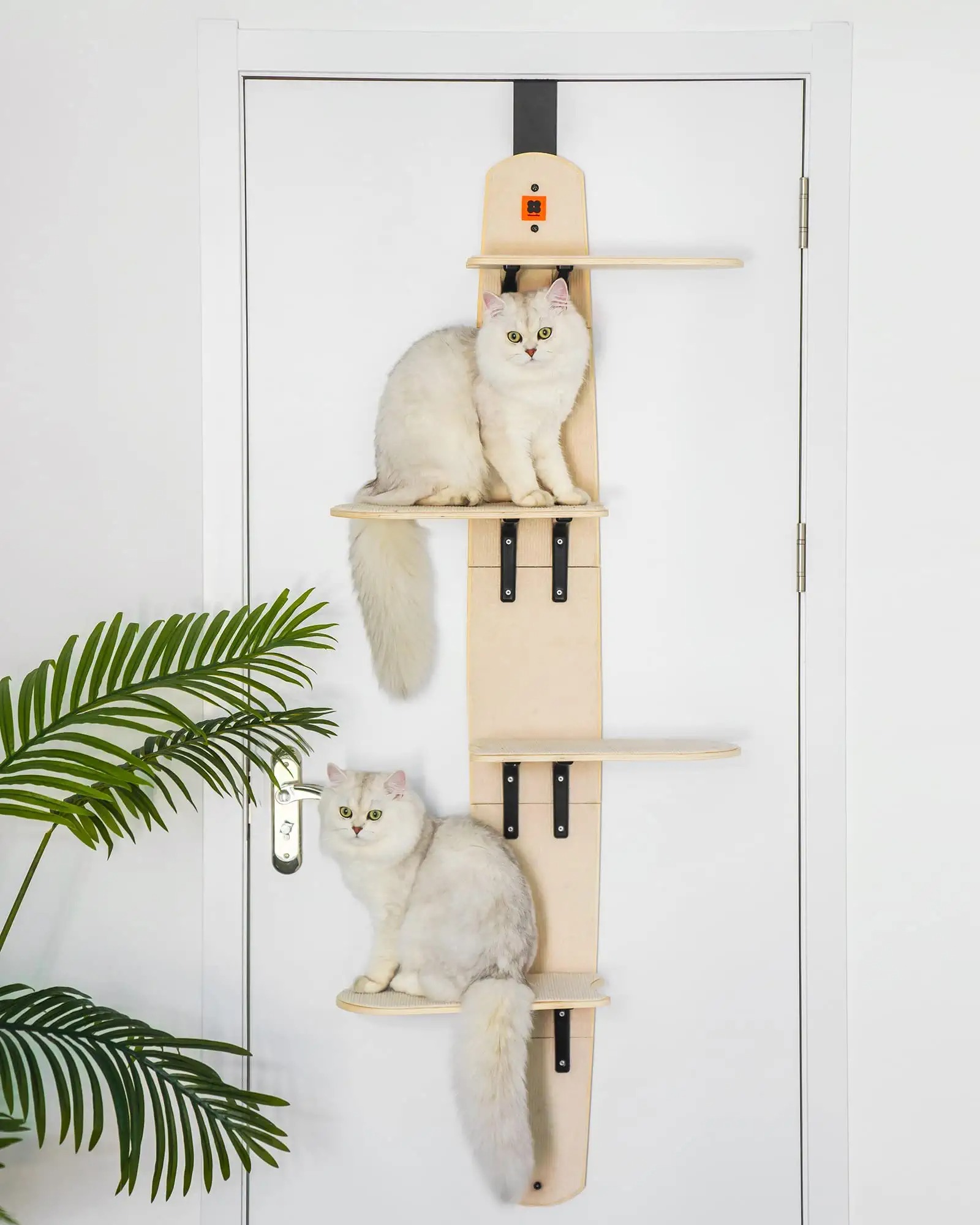 Mewoofun 4-Levels Versatile Cat Climber Shelves Door Mounted