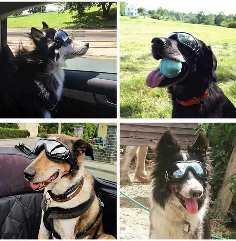 Adjustable Goggles for Dog | Waterproof, Windproof and Anti-UV Goggles for Dog