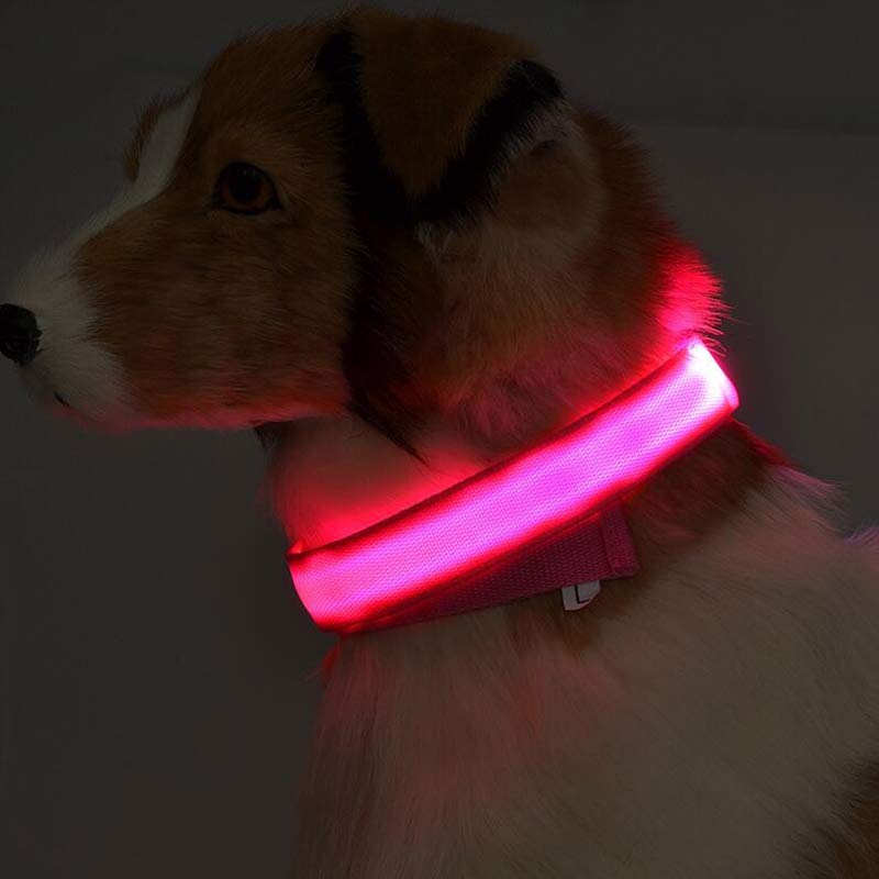 Nylon LED Pet Collar Luminous Night Safety Flashing Glow in Dark Dog Cat Leash Adjustable Pet Supplies