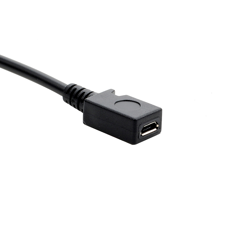 <ul> <li><strong>Compact Length</strong>: 0.25 meters, ideal for portability.</li> <li><strong>Versatile Use</strong>: Connects Micro USB devices to Type-C ports.</li> <li><strong>Efficient Data Transfer</strong>: Reliable and high-performance connection.</li> <li><strong>Universal Compatibility</strong>: Suitable for various mobile phones.</li> </ul>