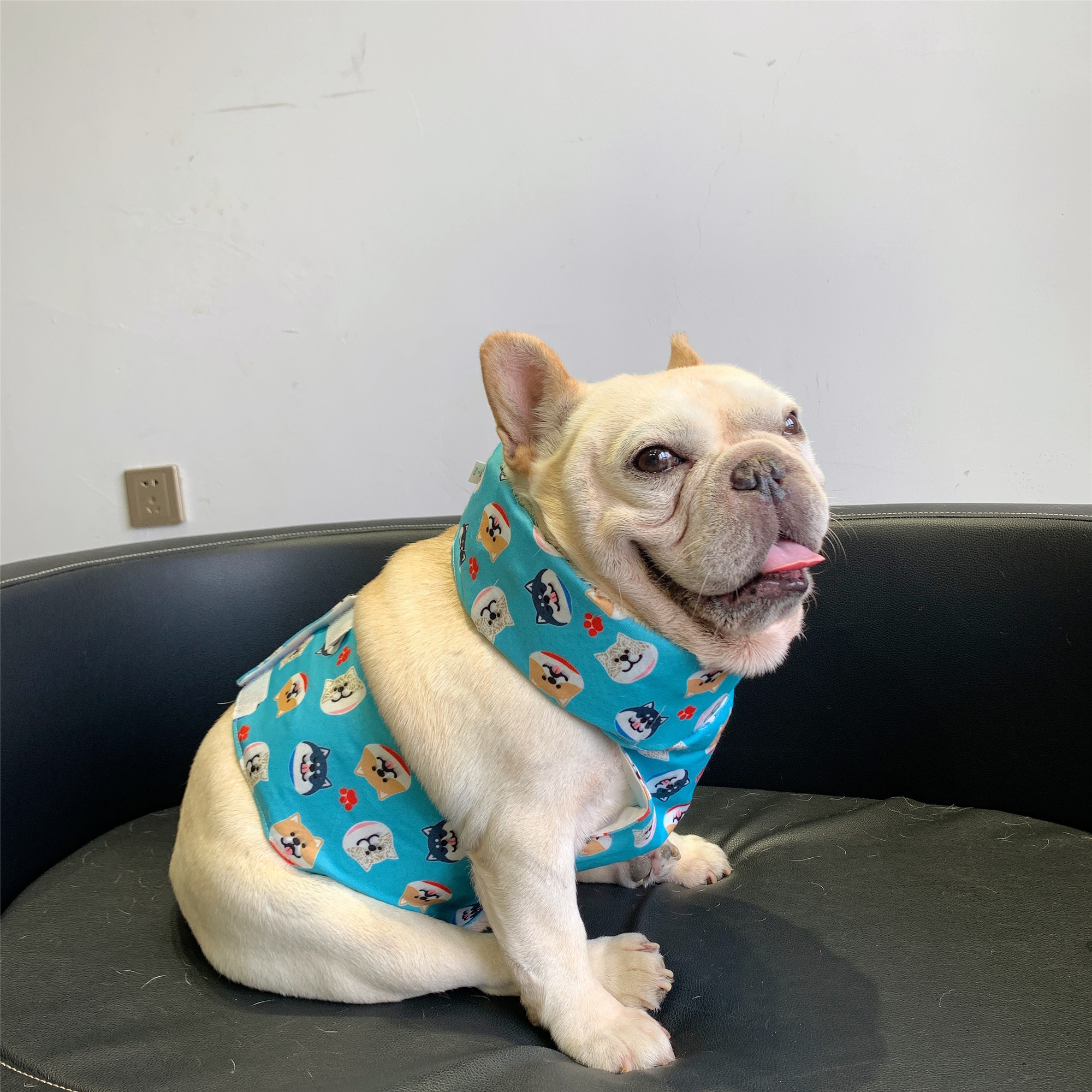 A small dog, wearing a blue Cooling Vest and a Cooling Dog Scarf, sits on a grey leather sofa, gazing at me with a playful tongue sticking out.