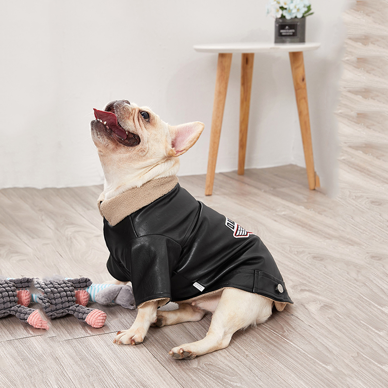Warm Coats Dogs Windproof | Leather Jacket for Medium Dog | Winter Coats for Dog
