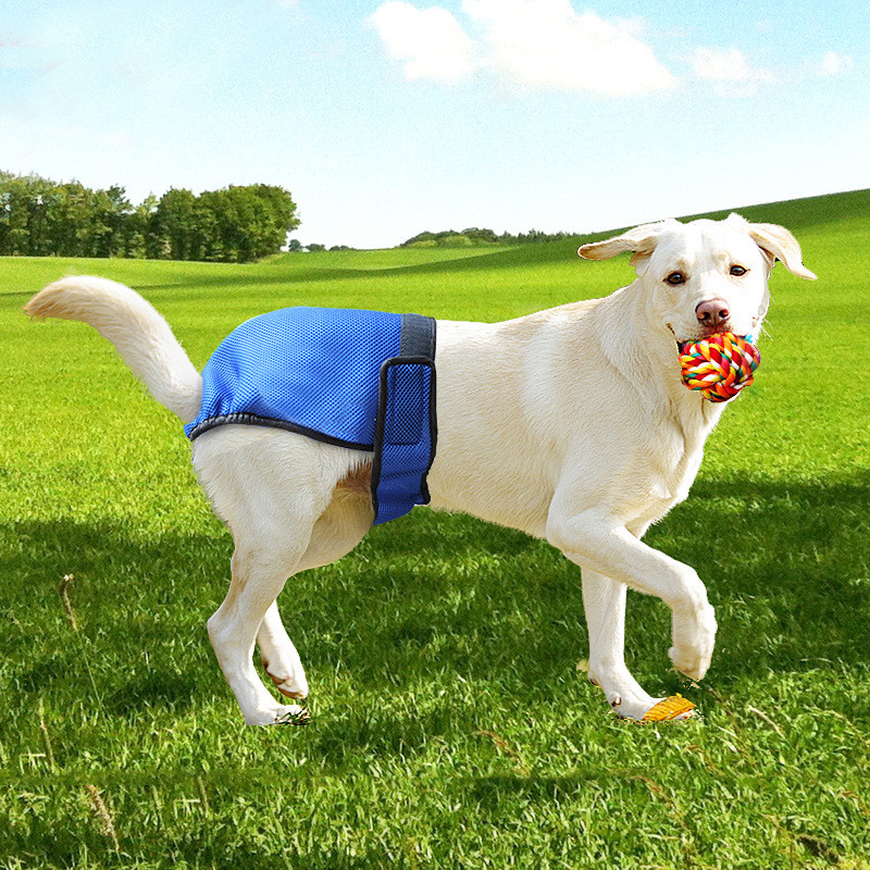 Forget the caterwauling and chaos of dog walking! With our Dog Safety Pants, your pup will be secure and stylish, giving you peace of mind! These snug security wraps feature a unique design, so your pup will look and feel as safe as houses.