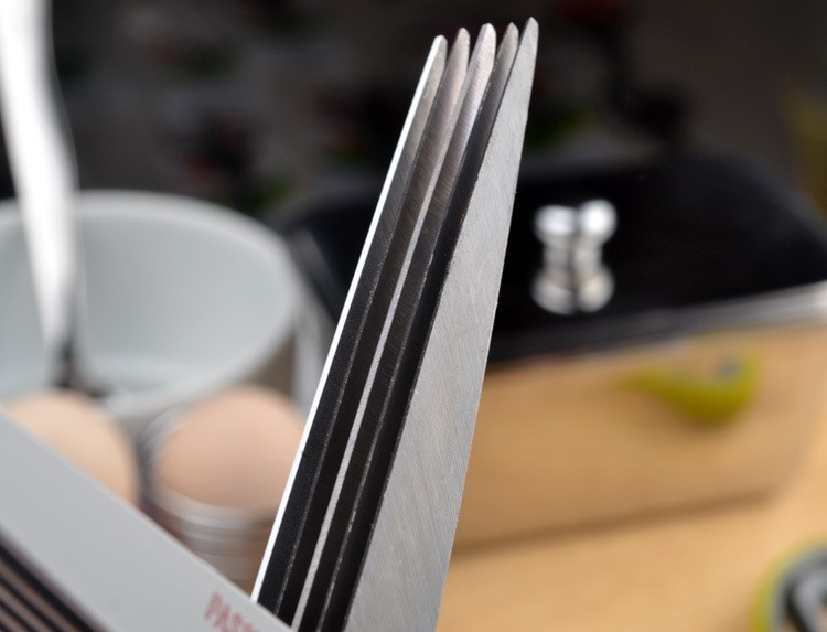 Five-layer Multi-function Kitchen Scissors