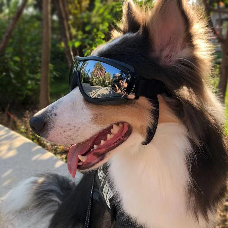 Adjustable Goggles for Dog | Waterproof, Windproof and Anti-UV Goggles for Dog