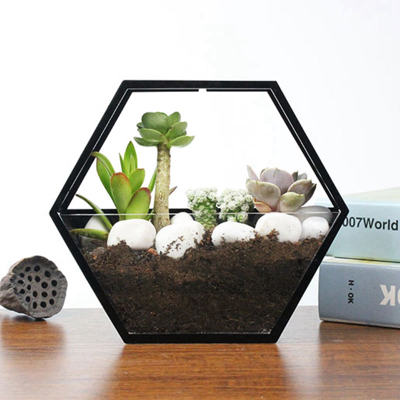 Wall-mounted flower pot