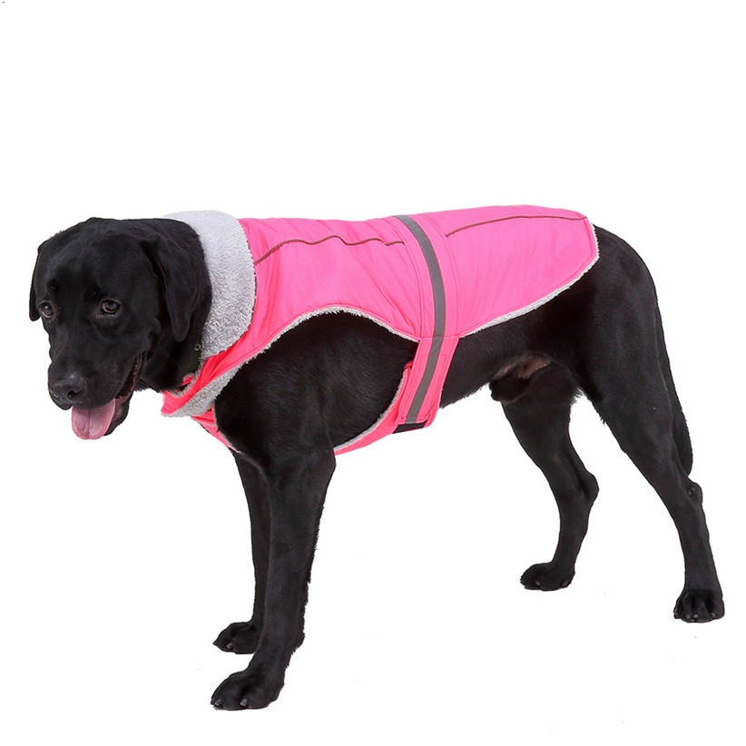 A big dog wearing a pink Reflective Dog Vest for Safety and Warmth - fiercelysouthern