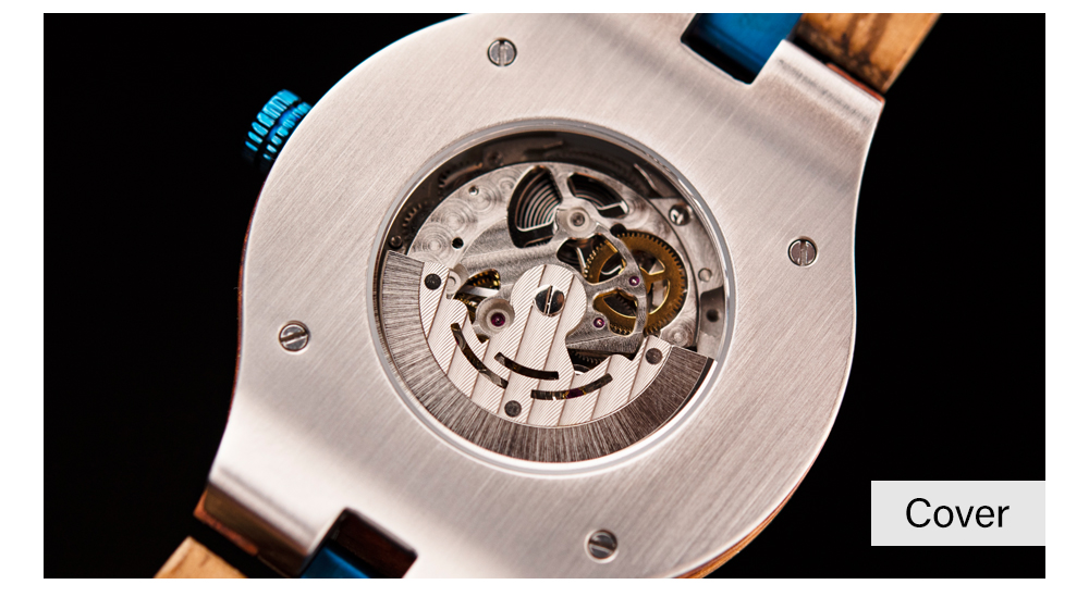 Mechanical Watches Men Luxury