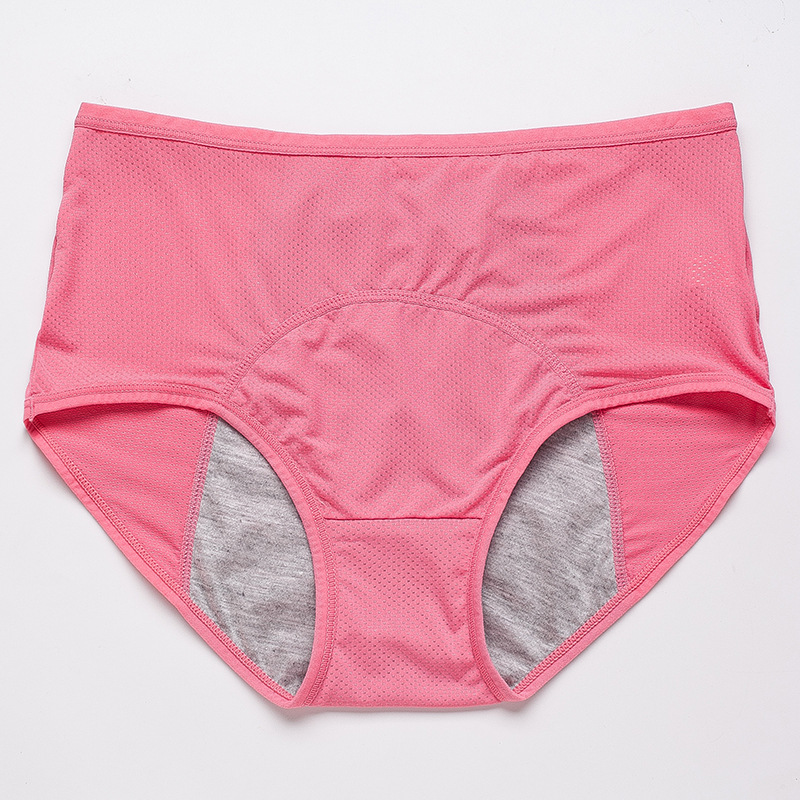 Period Leak Proof Panties Women Underwear Pants Nylon Briefs at Rs 1499 ...