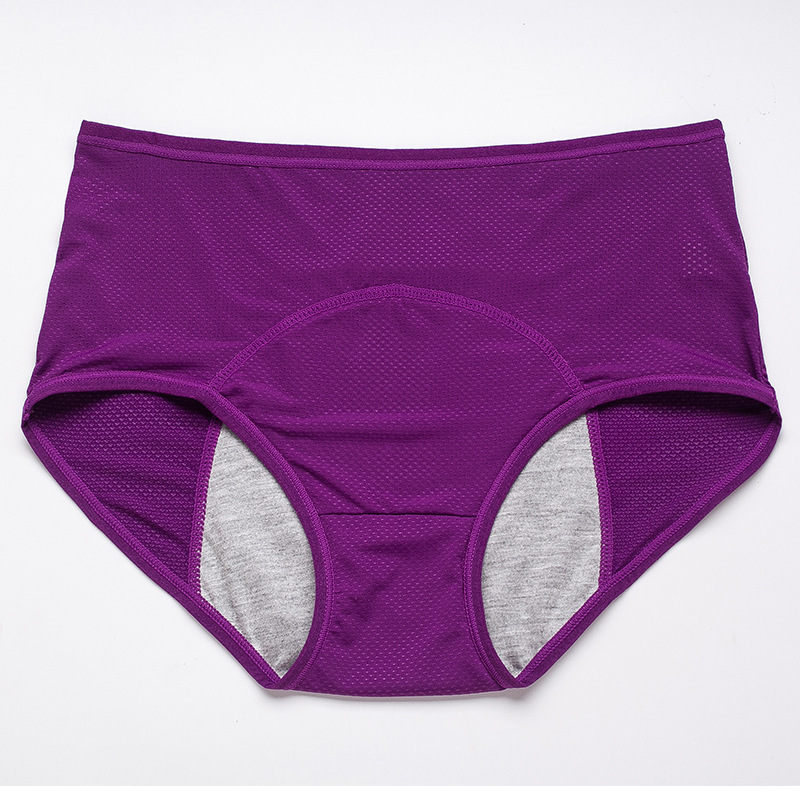 Period Leak Proof Panties Women Underwear Pants Nylon Briefs at Rs 1499.00, Koramangala, Bengaluru