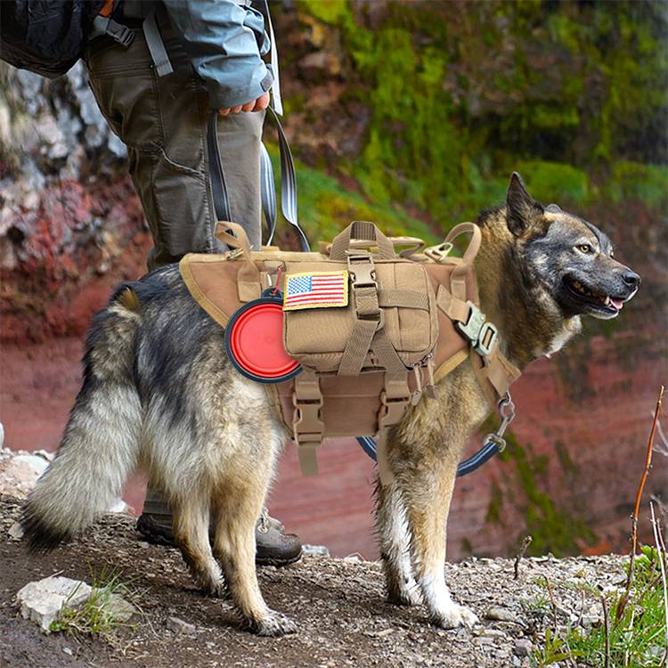Malinois Large Dog Dog Hand Holding Rope Chest Vest Combat Clothes Dog ...