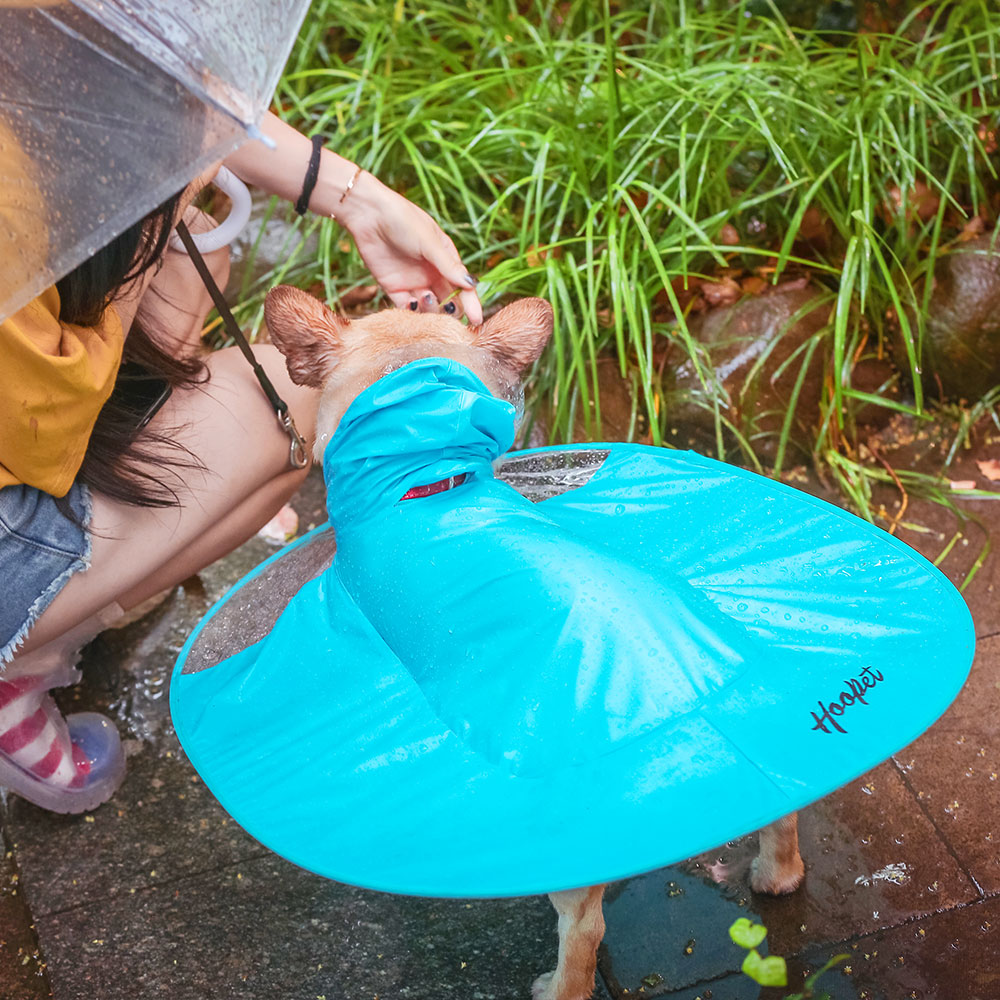 Transparent Dog Raincoat | Hooded Waterproof Raincoat For Dogs 