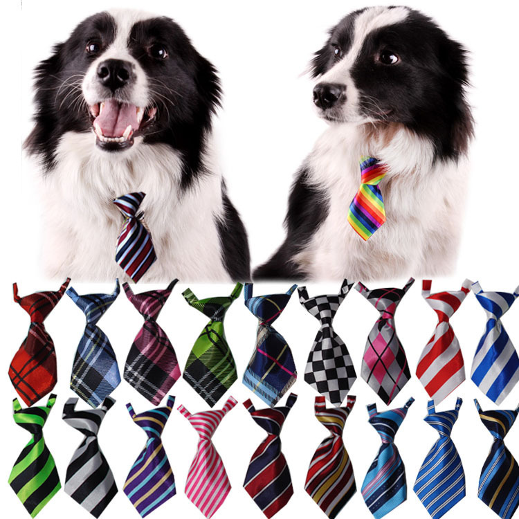 Dogs with a collection of pet neckties - fiercelysouthern
