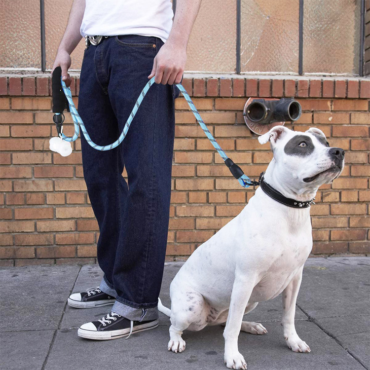 reflective large dog leash