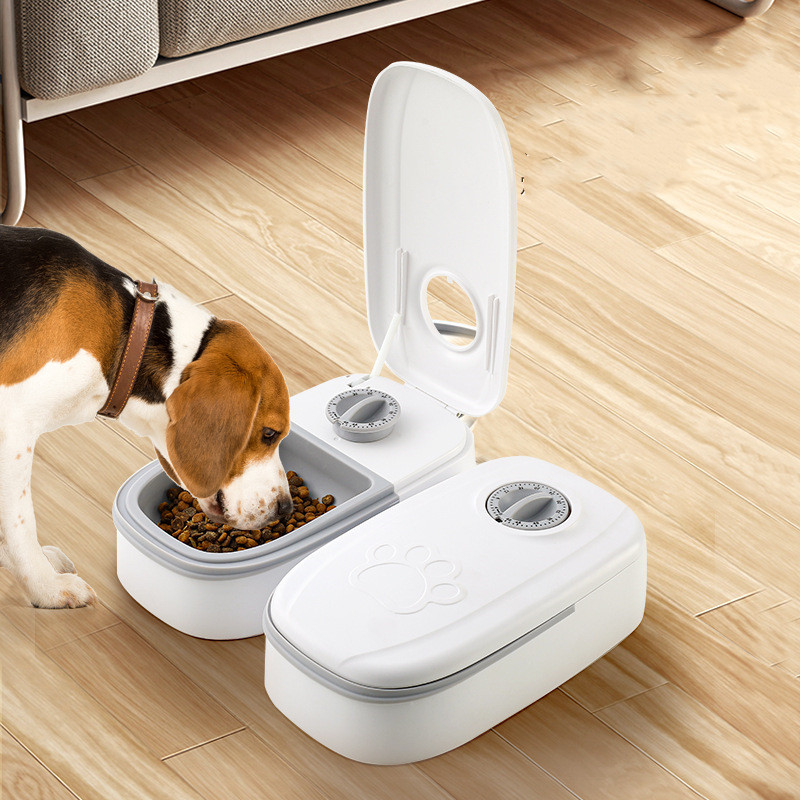 A hound dog enjoying a meal from the 'Ensure Portion Control with the Dual Meal Feeder - Fiercely Southern's Smart Solution for Your Pet's Meals' on hardwood floors in the living room.