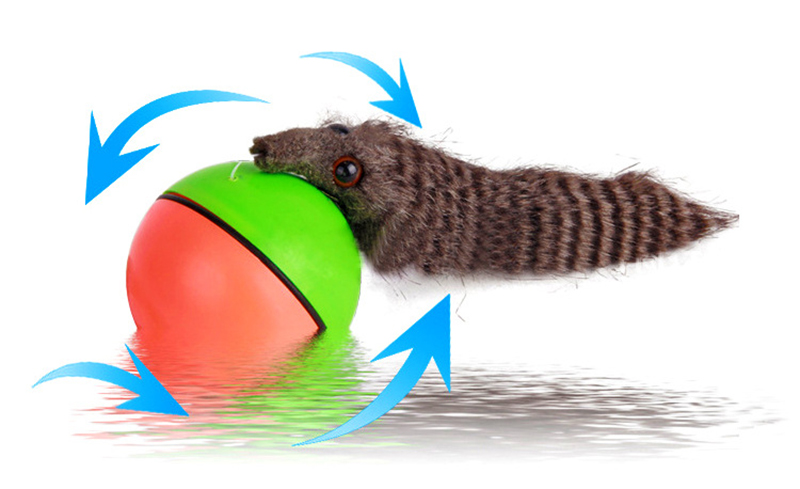 Electric Beaver Ball - Perfect Gift for All Ages