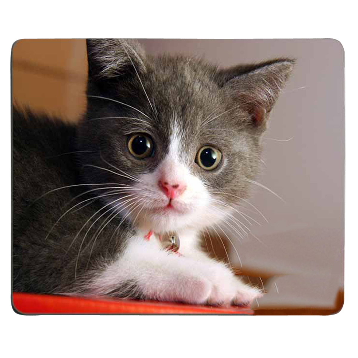 tapis de souris avec un chaton aux yeux mignons avec collier et clochette