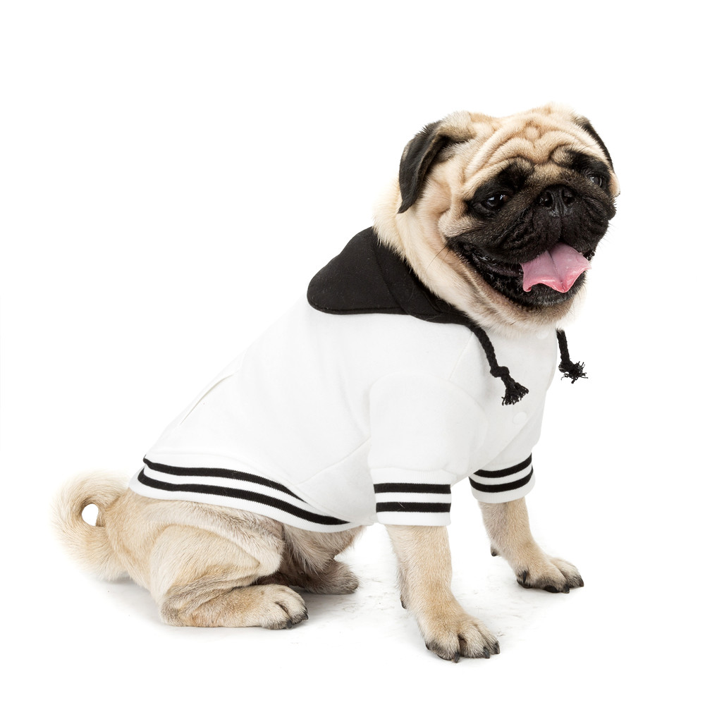 High-end Dog Clothes Color Matching Sweater With Pocket