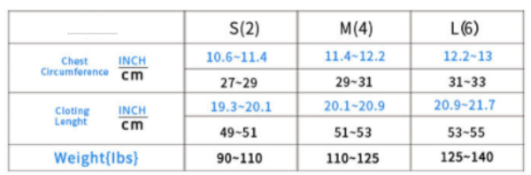 FITVITA Empowering Your Fitness Journey