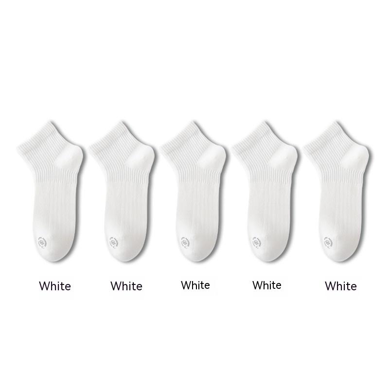 b6ecd7b4 33c5 48f2 8016 b5a72e567401 trans