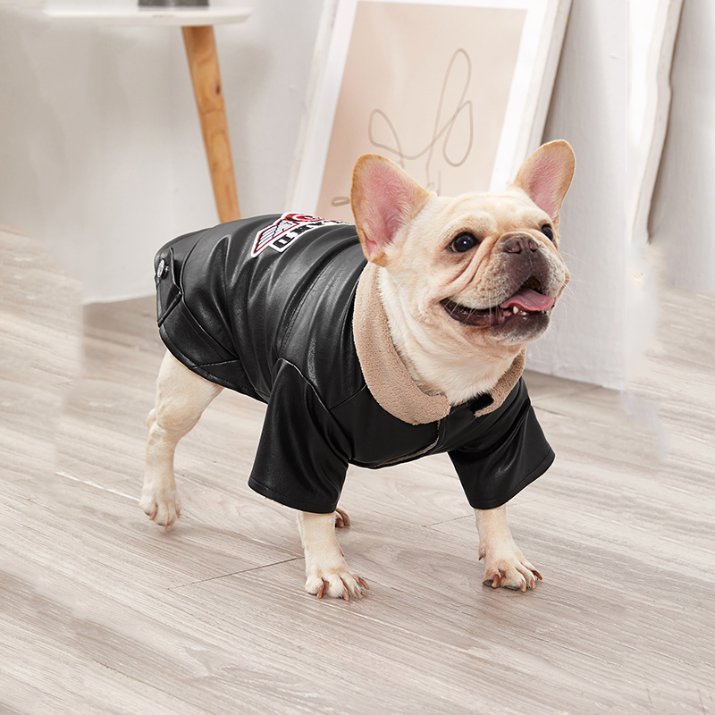 Warm Coats Dogs Windproof | Leather Jacket for Medium Dog | Winter Coats for Dog