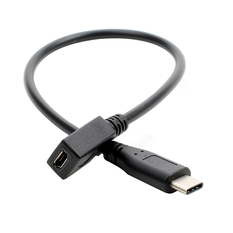 <ul> <li><strong>Compact Length</strong>: 0.25 meters, ideal for portability.</li> <li><strong>Versatile Use</strong>: Connects Micro USB devices to Type-C ports.</li> <li><strong>Efficient Data Transfer</strong>: Reliable and high-performance connection.</li> <li><strong>Universal Compatibility</strong>: Suitable for various mobile phones.</li> </ul>