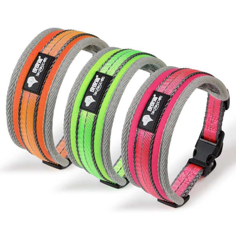 Pipi Tao - Big Padded Dog Collar for large active dogs.