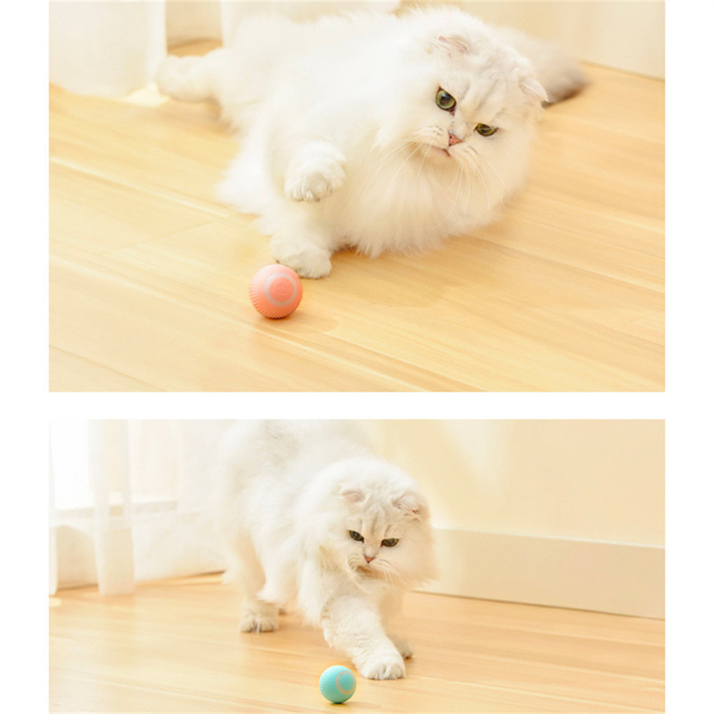 Cat Rolling Ball