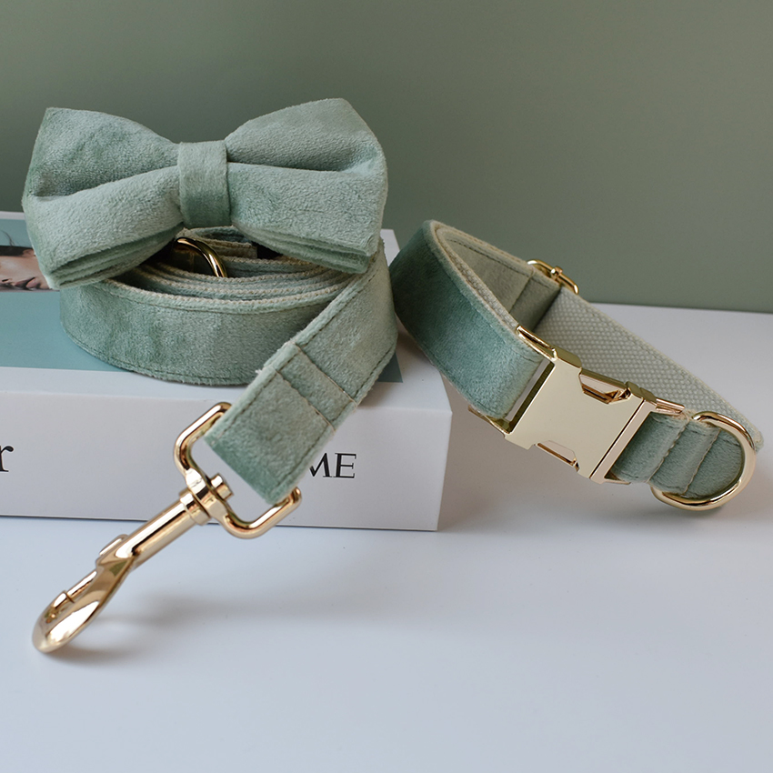 Mint Green Dog Collar Leash CJdropshipping