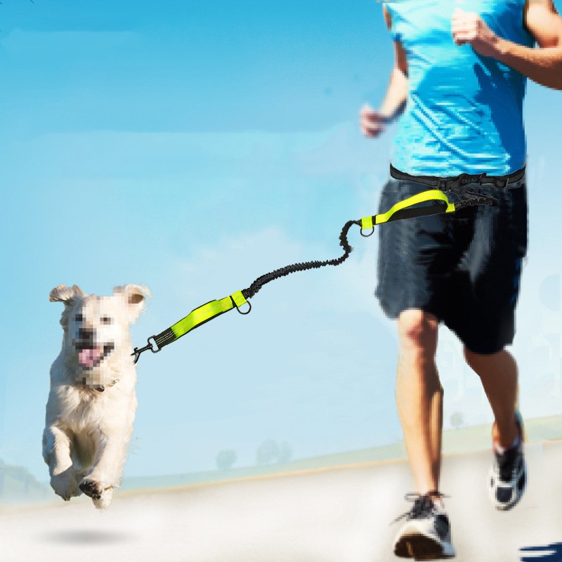 Multifunctional Running Reflective Double Telescopic Dog Leash Dog ...