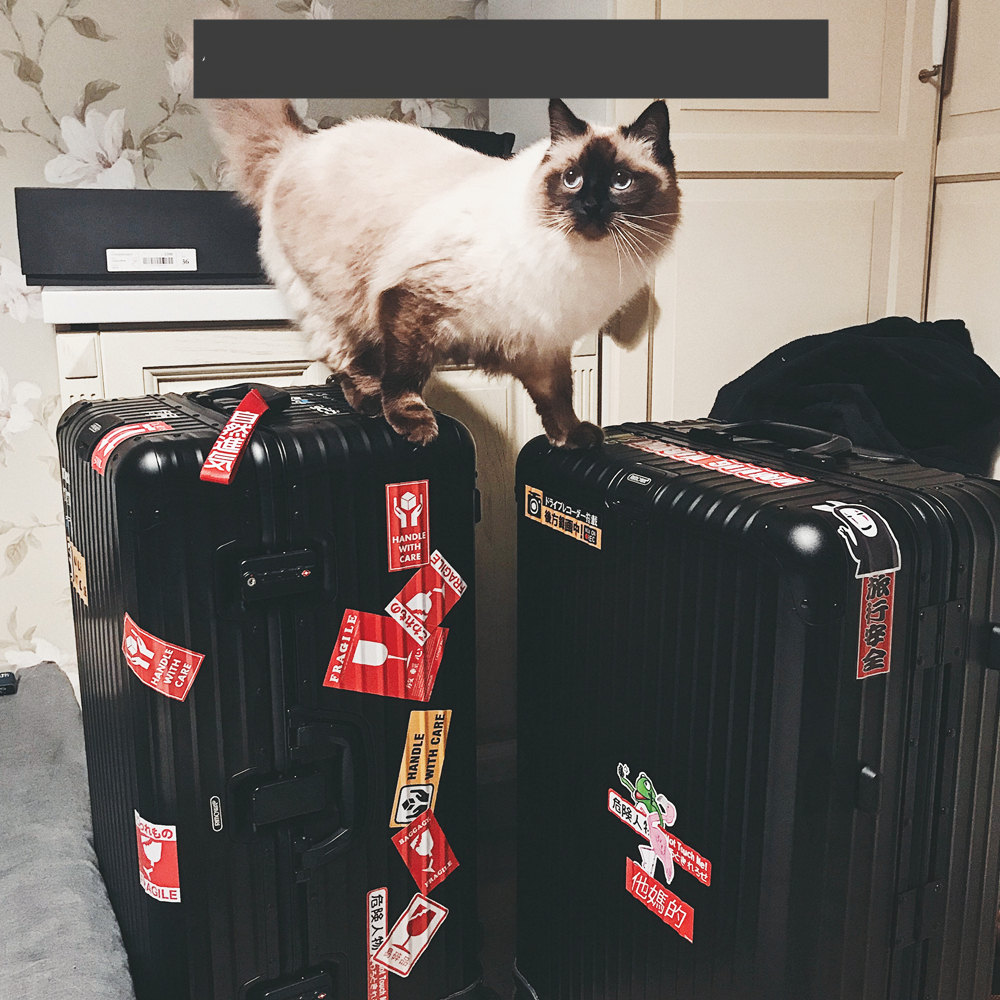 55 French Suitcase Notebook Stickers CJdropshipping