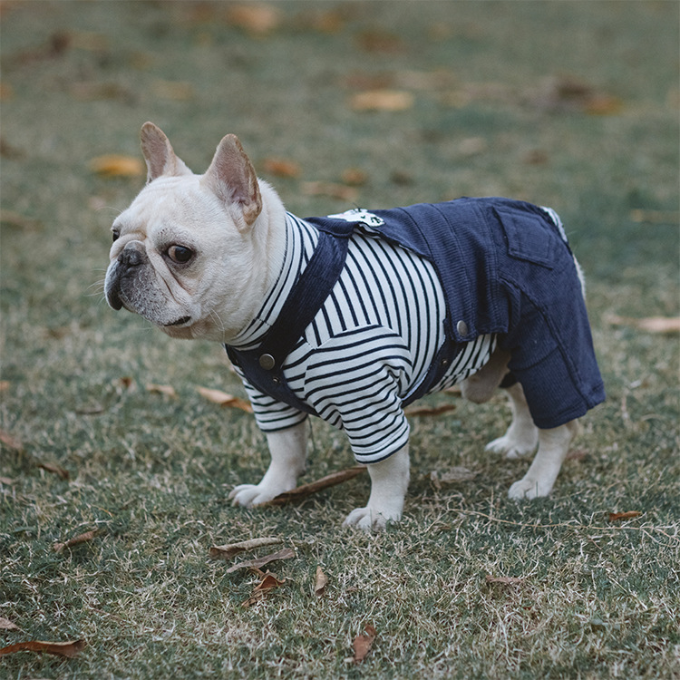 Dog Jumpsuits with Striped | Jumpsuits for Small and Medium Dog | Warm Clothing for Dog
