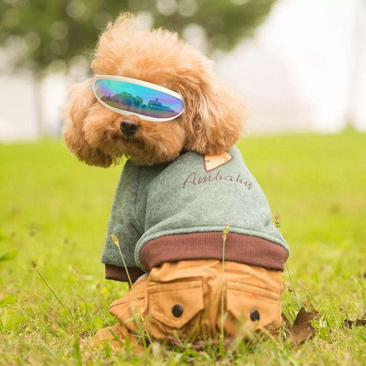 Waterproof Windproof Adjustable Dog Sunscreen UV Goggles