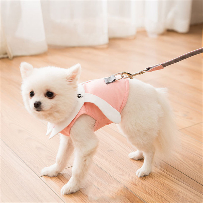 Cute Dog Vest Harness | Walking Rope For Small Dogs