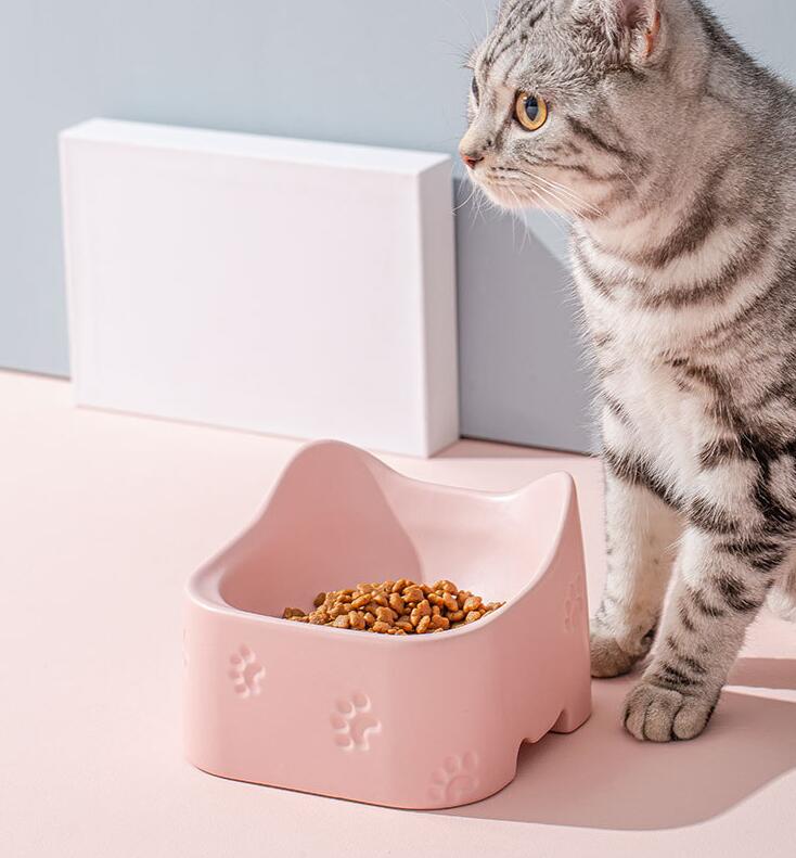 Affordable Ceramic bowl for pets