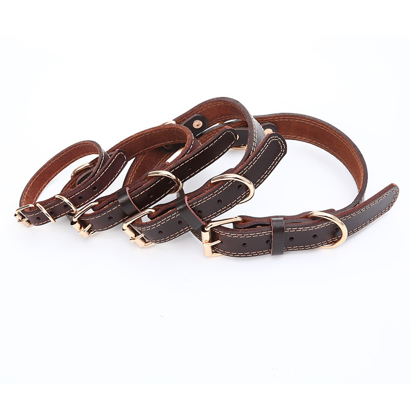 leather pet collars