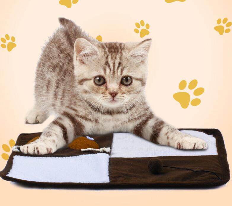 A Cat prowling over a brown and tan cat scratch pad -fiercelysouthern