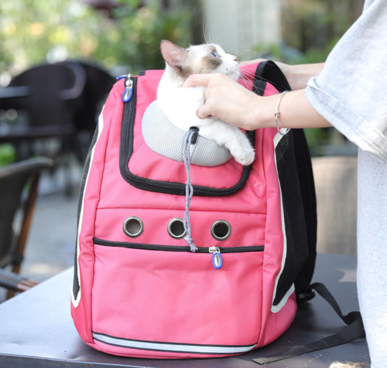 Dog Transport Backpack for Small Dog