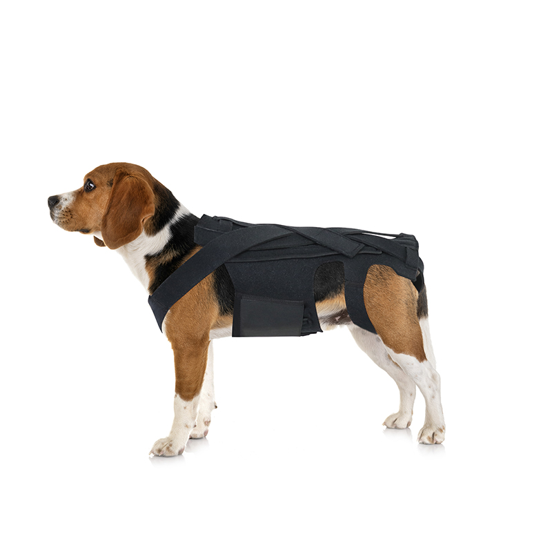 Back Brace For Dogs With IVDD, Arthritis, Back Pain, Surgical Recovery